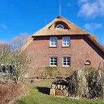 Lazy Osyter Sylt